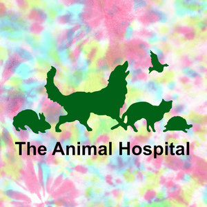 The Animal Hospital 